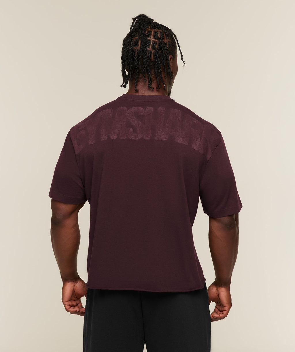 Faded Lifting Graphic Tee