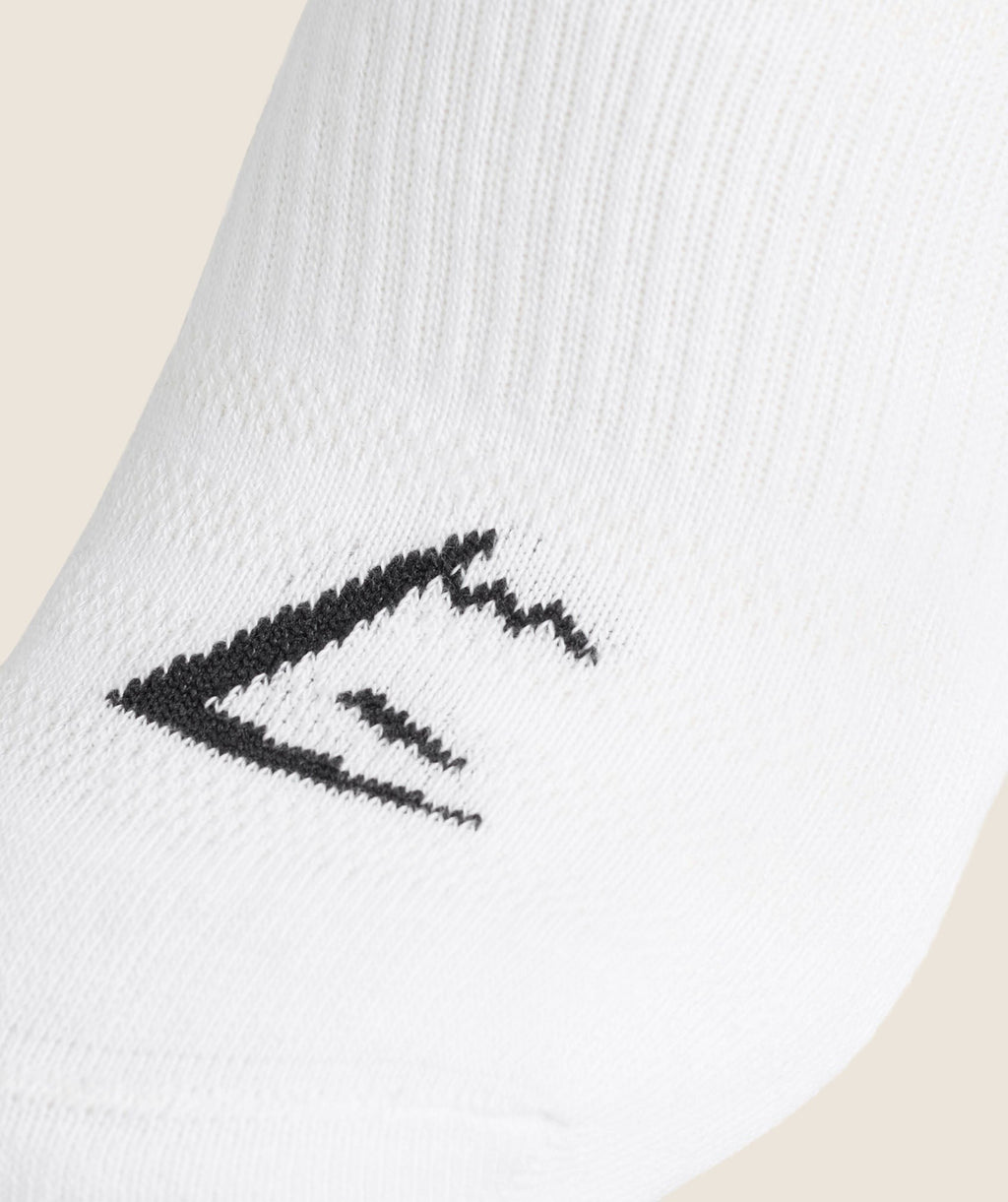 Trainer Sock 3pk