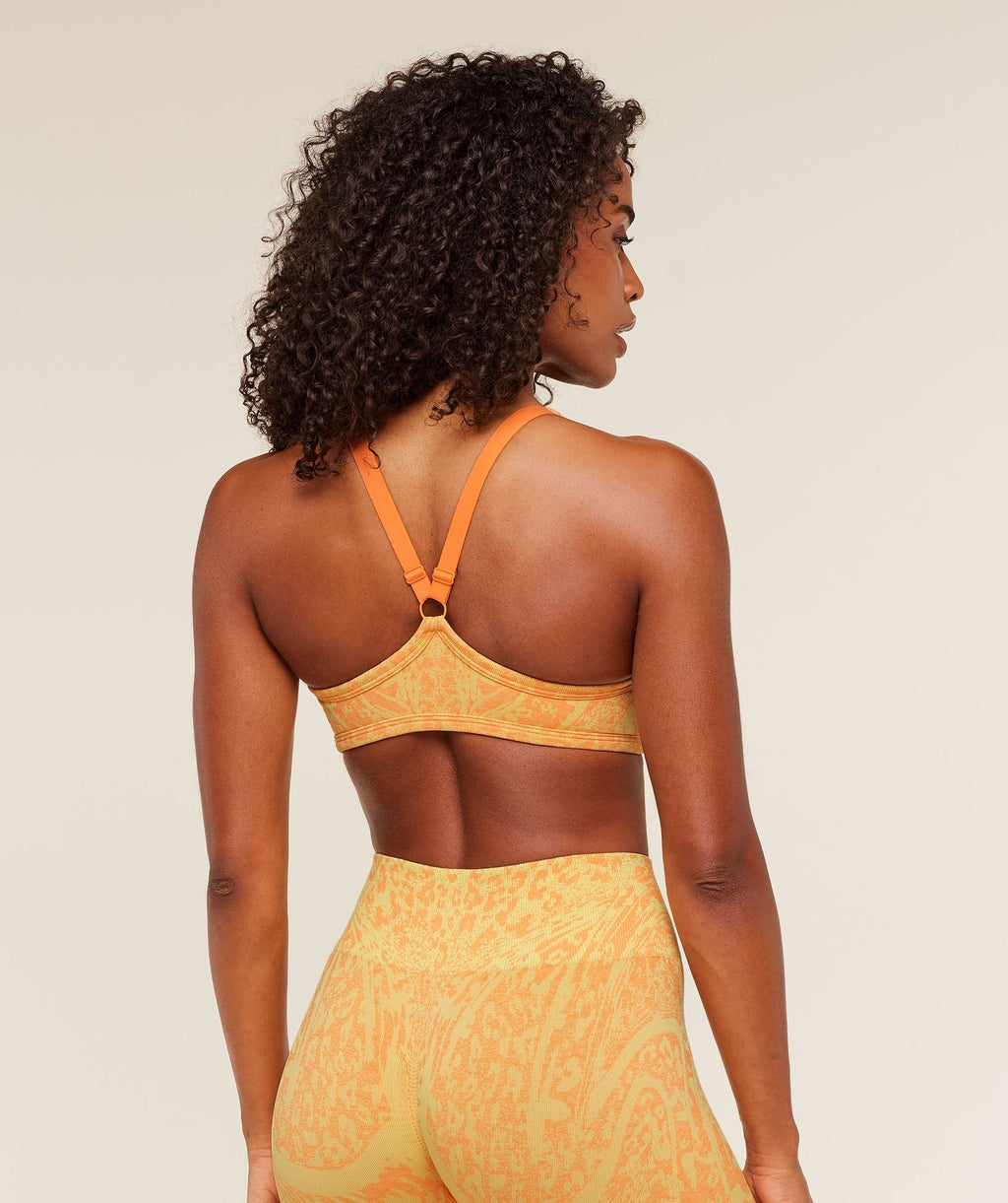 Adapt Animal Sports Bra